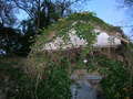 Re: Any local flooding