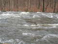 Re: Any local flooding