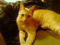 Re: Summer Pet Photos 2010