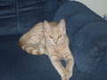 Re: Summer Pet Photos 2010