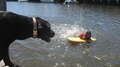 Re: Summer Pet Photos 2010