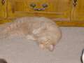 Re: Summer Pet Photos 2010