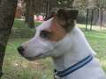 Re: Summer Pet Photos 2010