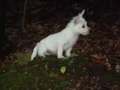 Re: Summer Pet Photos 2010