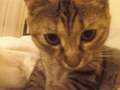 Re: Summer Pet Photos 2010