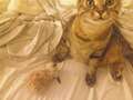 Re: Summer Pet Photos 2010