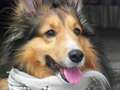 Re: Summer Pet Photos 2010