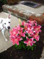 Re: Summer Pet Photos 2010