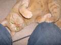 Re: Summer Pet Photos 2010