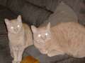 Re: Summer Pet Photos 2010