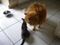 Re: Summer Pet Photos 2010