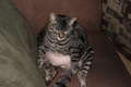 Re: Summer Pet Photos 2010