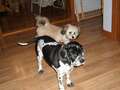 Re: Summer Pet Photos 2010