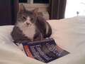 Re: Summer Pet Photos 2010