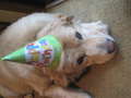 Re: Summer Pet Photos 2010