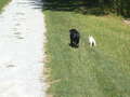 Re: Summer Pet Photos 2010