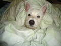 Re: Summer Pet Photos 2010