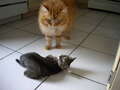 Re: Summer Pet Photos 2010