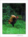 Re: Summer Pet Photos 2010