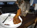 Re: Summer Pet Photos 2010