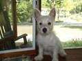 Re: Summer Pet Photos 2010