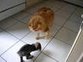 Re: Summer Pet Photos 2010
