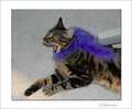 Re: Summer Pet Photos 2010