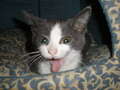 Re: Summer Pet Photos 2010