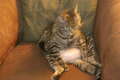 Re: Summer Pet Photos 2010
