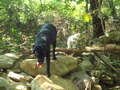 Re: Summer Pet Photos 2010