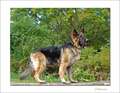 Re: Summer Pet Photos 2010
