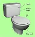 Thomas Crapper Day 1/27!
