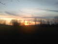 Re: Phone Photo Thread