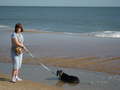 Re: Greyhounds and friends, photos and more Re: Greyhounds and friends, photos and more