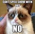 Re: Who Hates Snow?