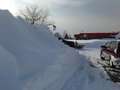 Re: Major Snowstorm in Buffalo