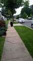 Re: In Town Bear Sighting 7/14, Washington St.