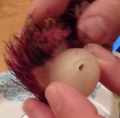 Re: What Is This?