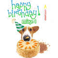 Happy Birthday MikeGuida!