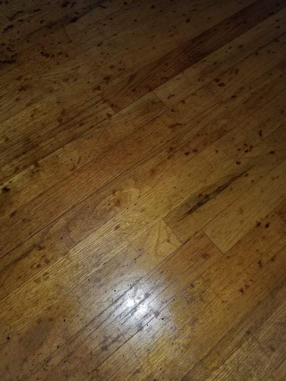 Old Hardwood Floor, Hardwood Floor Covered In Tar