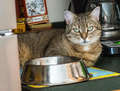 Re: Hackettstown Pet Supplies