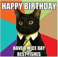 Happy Birthday Blackcat!