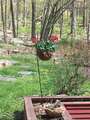 Re: Where are the hummingbirds?