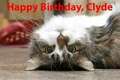 Happy Birthday Clyde Potts!