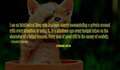 Re: Quotable Quotes