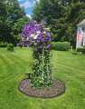 Re: Perennial/Flowering Shrub Gardening