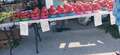 Re: sky high tomato prices