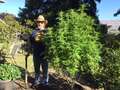 Re: Hackettstown Marijuana Dispensary
