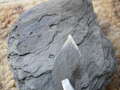 Re: Help to ID a rock